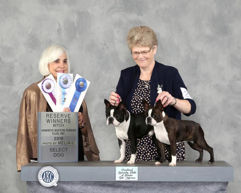 SecondSpecialty-SelectDog