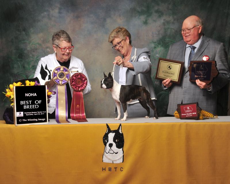 Tuesday Best of Breed