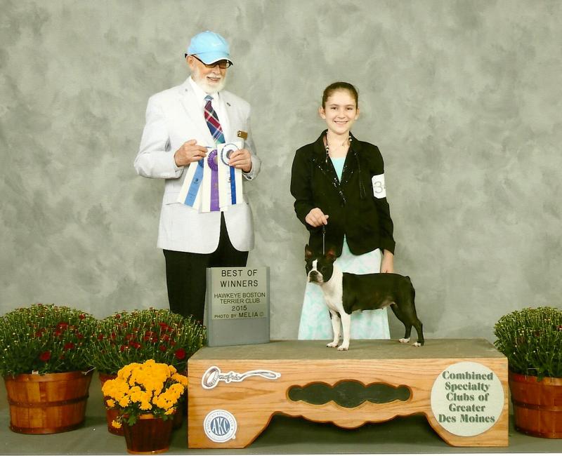 Best of Winners 2015