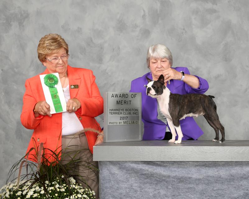 AwardMerit-FirstSpecialty2017