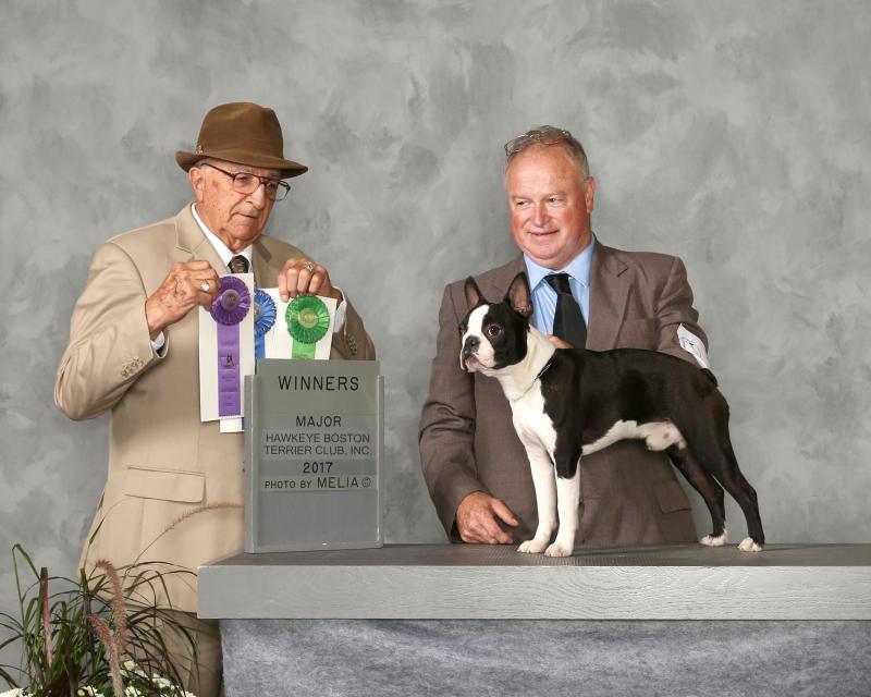 WD-SecondSpecialty2017