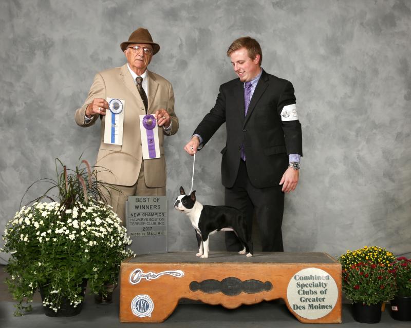 BOW-SecondSpecialty2017